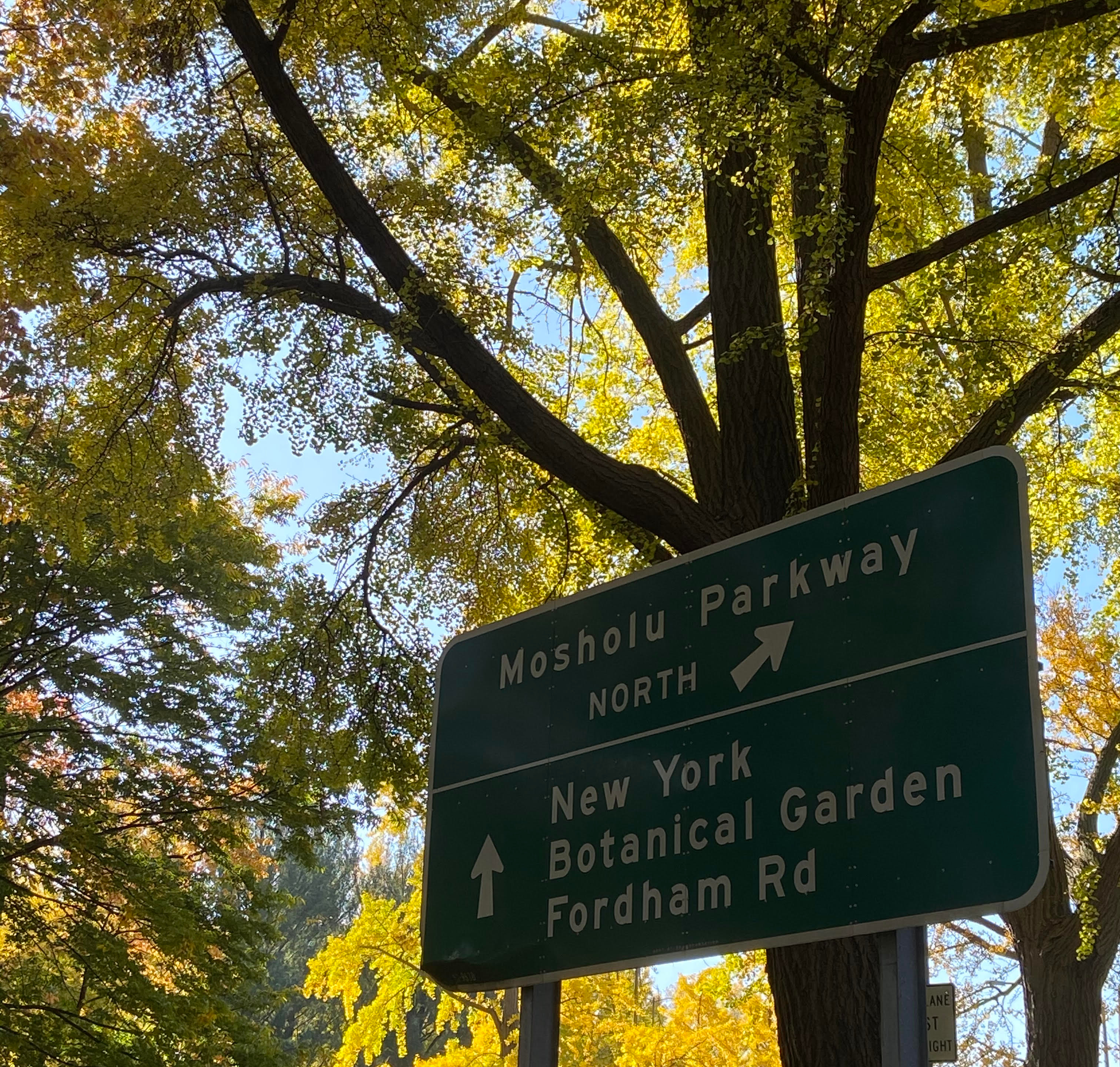 mosholu