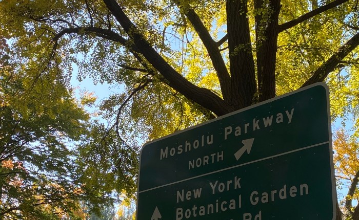 2020 Taught Me to&nbsp;Breathe