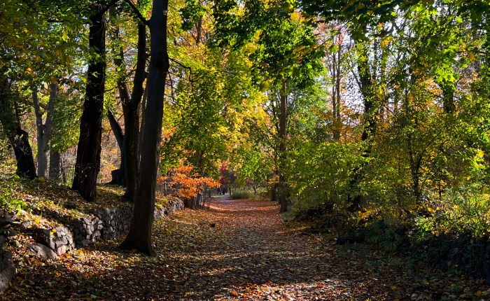 everything will work&nbsp;out